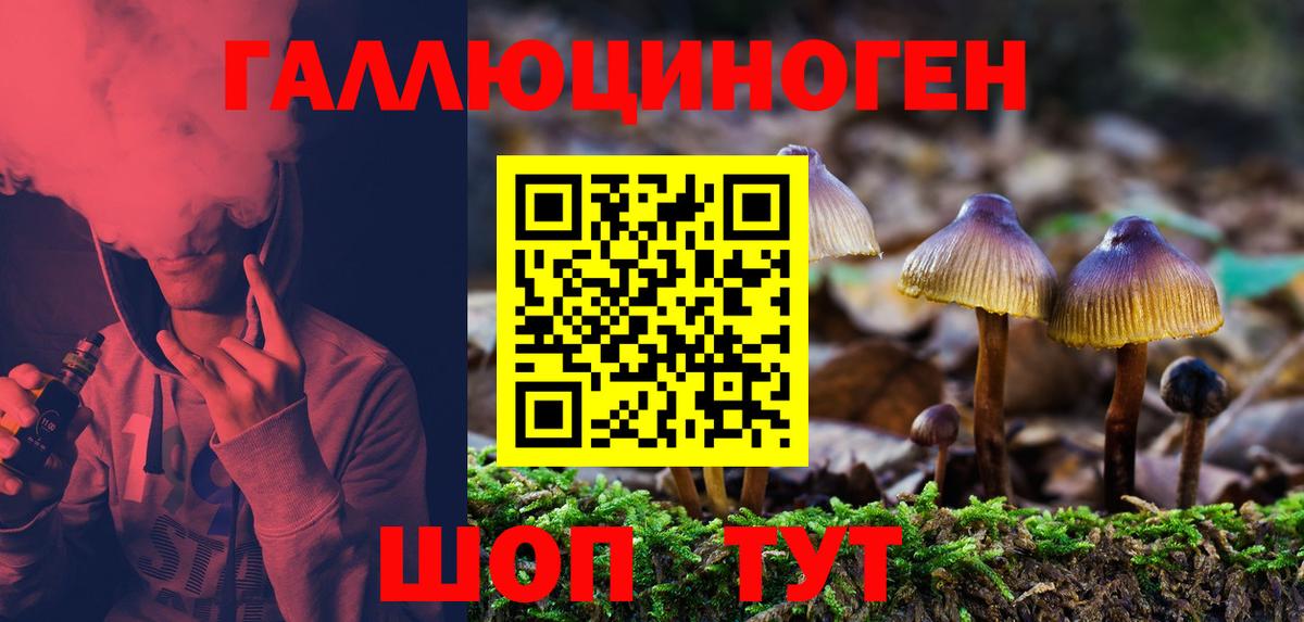 Бирск  Галлюциногенные грибы Psilocybe  Вход с VPN  где купить   Псилоцибиновые грибы Psilocybine cubensis 